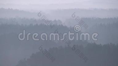 雾林的高海拔视野在视野中逐渐缩小。 大自然景观中神秘的气氛。 朦胧的树木